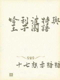 哈利波特与混血王子国语