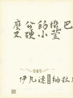 么公的机巴又粗又硬小莹