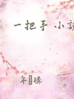 一把手 小说