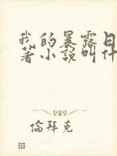 我的暴露日记原著小说叫什么