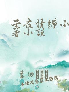 子夜情缠小说原著小说