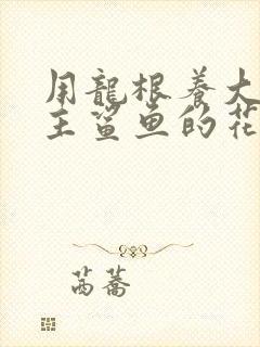 用龙根养大的公主鲨鱼的花