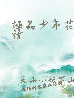 极品少年花都燃情
