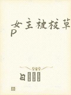 女主被校草们NP