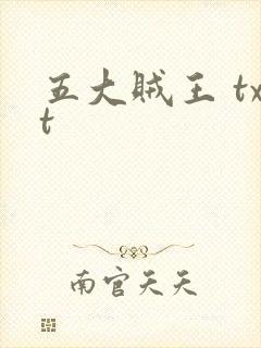 五大贼王 txt