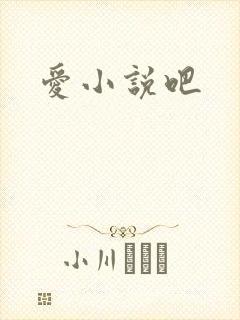 爱小说吧