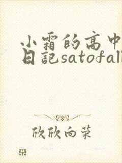 小霜的高中成长日记satofall