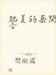 肥美的岳开始配合