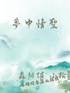 梦中情圣