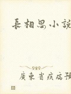 长相思小说原著