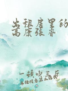 出租房里的交互高康张睿