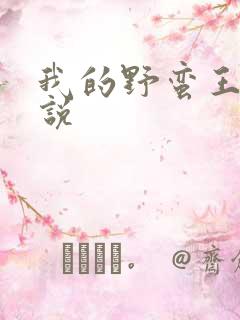 我的野蛮王妃小说