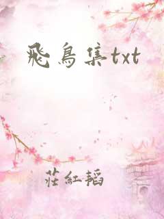 飞鸟集txt