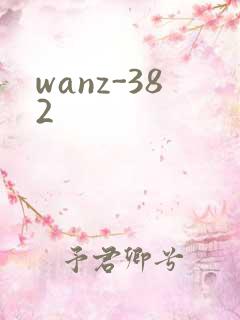 wanz-382
