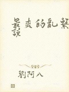 最爽的乱系列小说