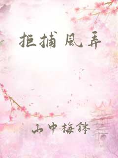 拒捕 风弄