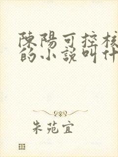 陈阳可控核聚变的小说叫什么名字