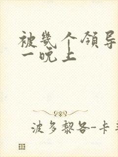 被几个领导玩弄一晚上