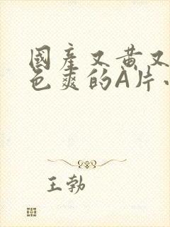 国产又黄又大又色爽的A片小说