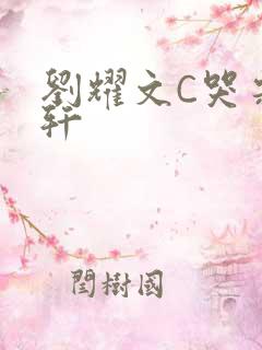 刘耀文C哭宋亚轩