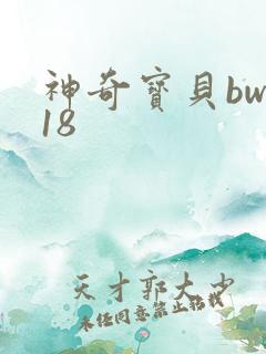 神奇宝贝bw118