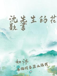 沈先生的花式调数书