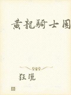 黄龙骑士团