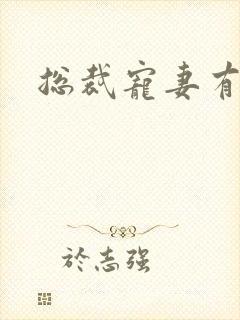 总裁宠妻有点忙