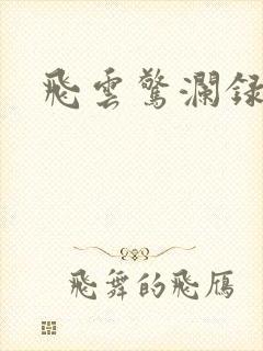 飞云惊澜录