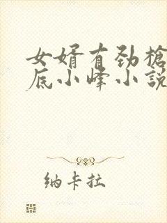 女婿有劲枪枪到底小峰小说