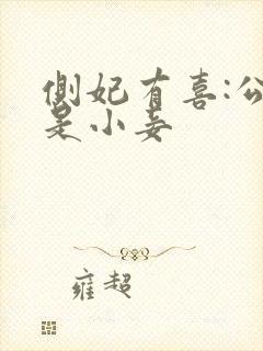 侧妃有喜:公主是小妾