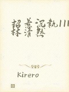 招惹沉执11H林清然