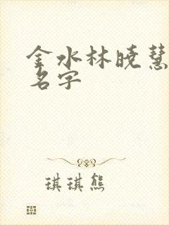 金水林晓慧小说名字