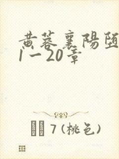 黄蓉襄阳堕落史1一20章