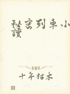 秘密列车小说阅读