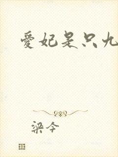 爱妃是只九尾猫