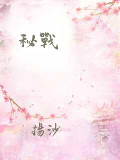 秘战
