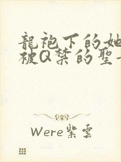 龙袍下的她皇嫂被Q禁的圣女