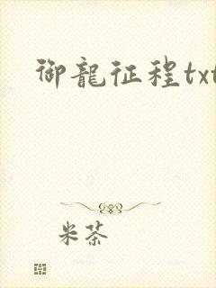 御龙征程txt