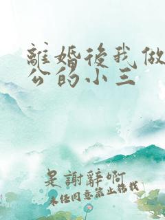 离婚后我做了老公的小三