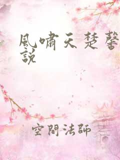 风啸天楚馨月小说