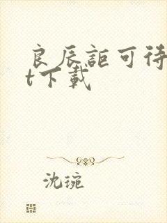 良辰讵可待txt下载