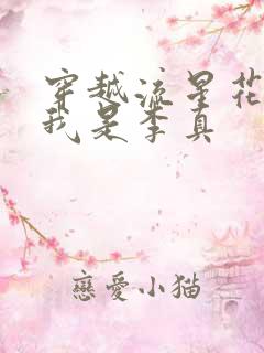 穿越流星花园之我是李真