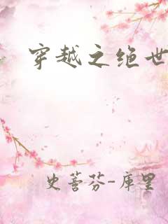 穿越之绝世皇后