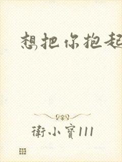 想把你抱起来撞