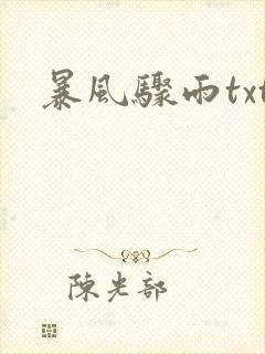 暴风骤雨txt