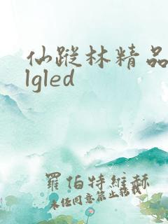 仙踪林精品zzlgled