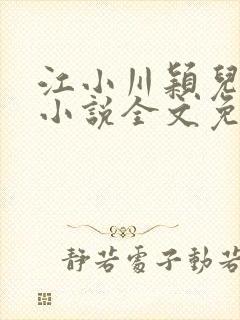 江小川颖儿穿越小说全文免费阅读