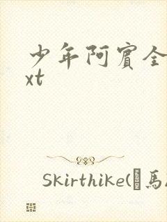 少年阿宾全集txt