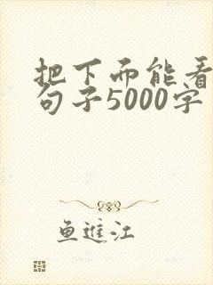 把下面能看湿的句子5000字